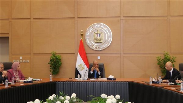 وزير الكهرباء 