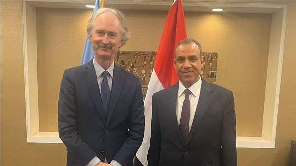 لقاء وزير الخارجية