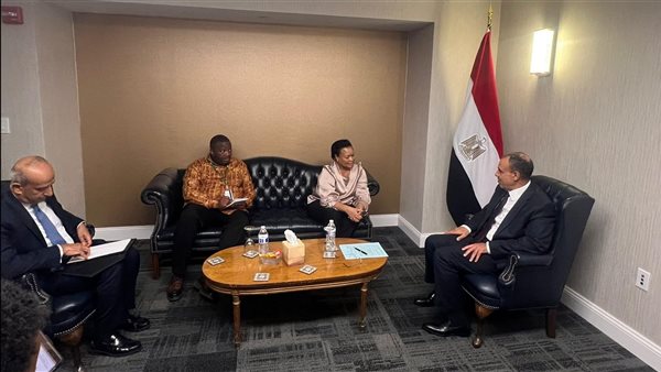 لقاء وزير الخارجية