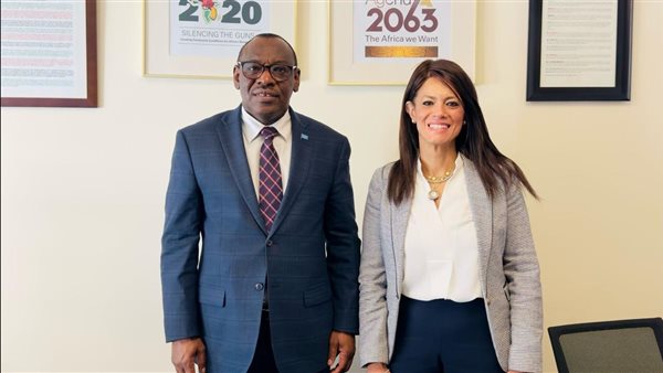 لقاء وزيرة التخطيط