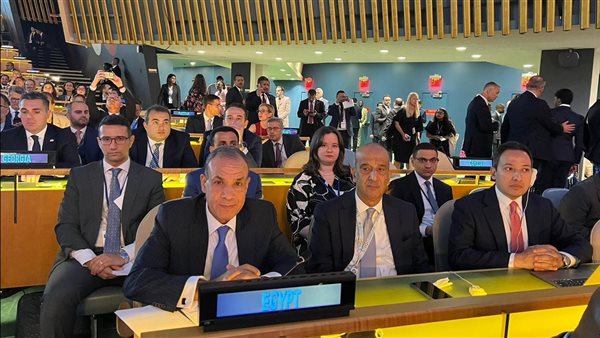 وزير الخارجية يشارك