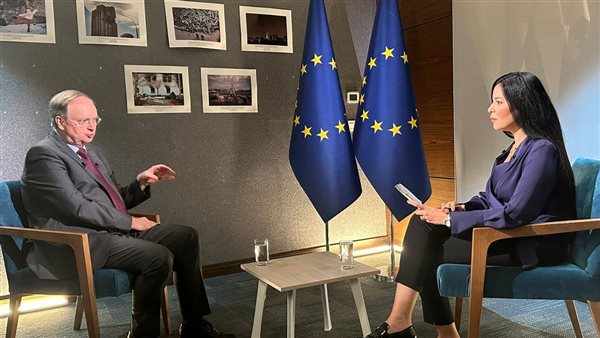 رئيس بعثة الاتحاد