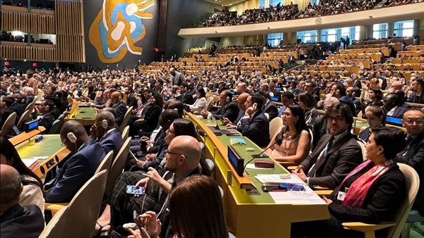 لقاءات وزير الخارجية