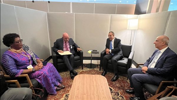 لقاء وزير الخارجية