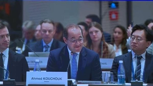 وزير المالية