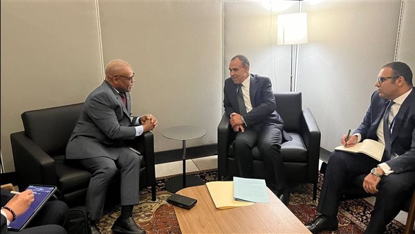 لقاء وزير الخارجية