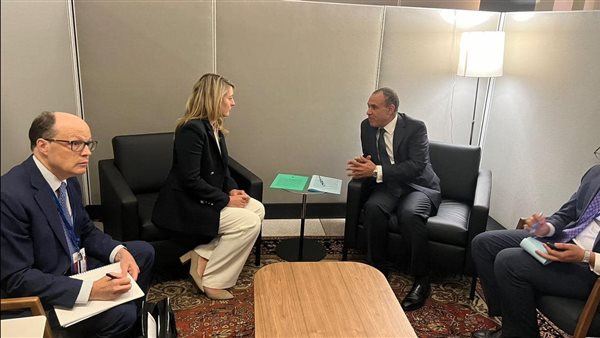 لقاء وزير الخارجية