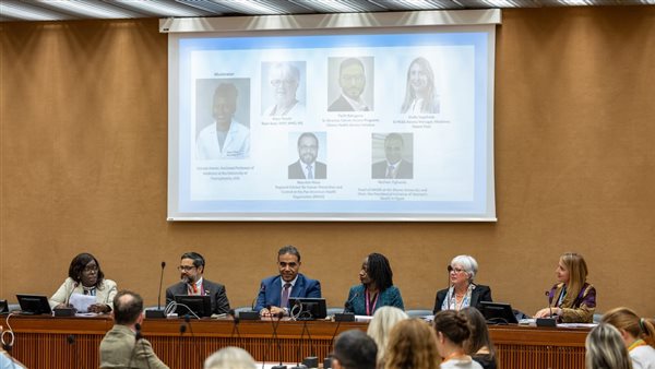 المبادرة الرئاسية