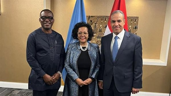 لقاء وزير الخارجية