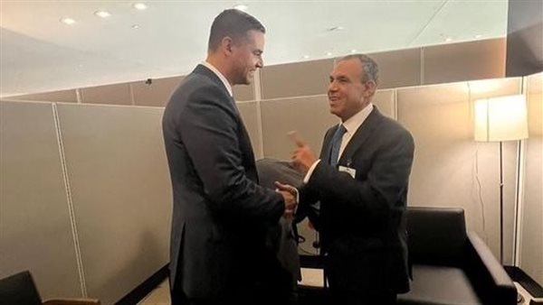 الدكتور بدر عبدالعاطي