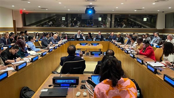 وزيرة التخطيط