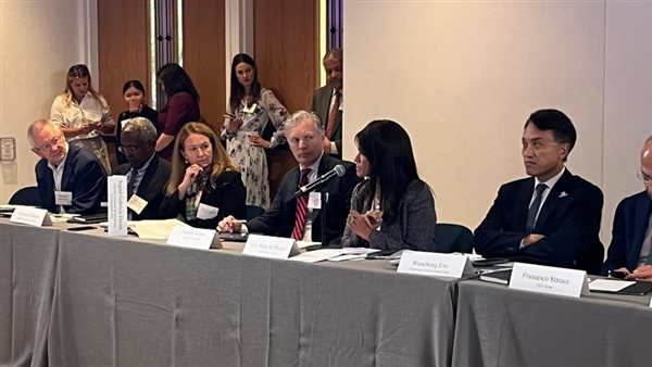 مجلس قيادة التحالف