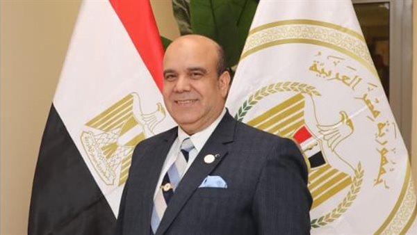 المستشار ربيع قاسم