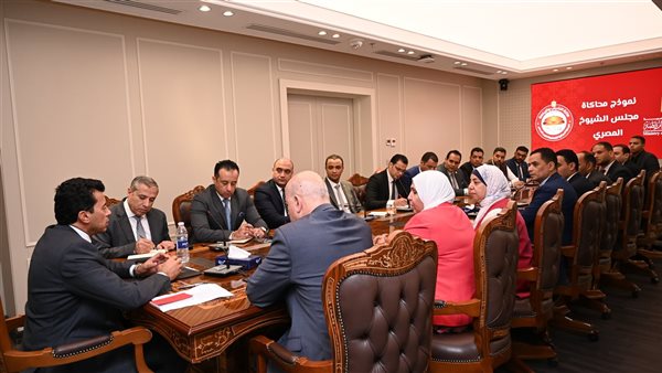 أعضاء نموذج محاكاة