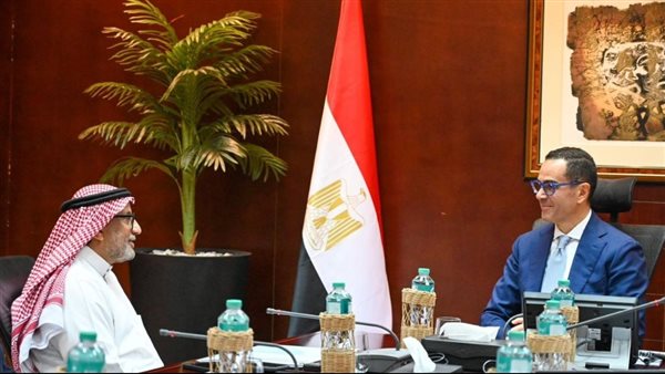 وزير الاستثمار