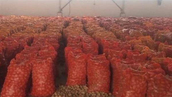 ثلاجات البطاطس