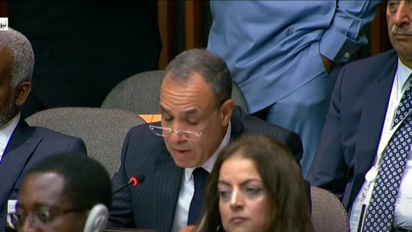 وزير الخارجية