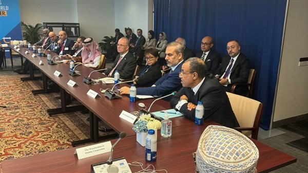 مشاركة  وزير الخارجية