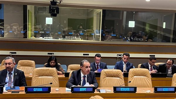 وزير الخارجية 