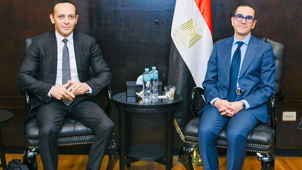 وزير الاستثمار