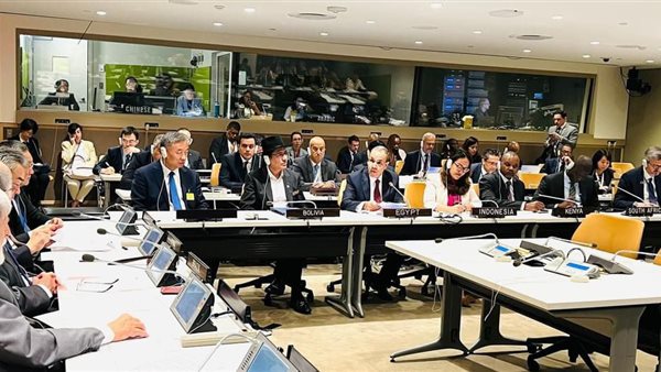 مشاركة وزير الخارجية