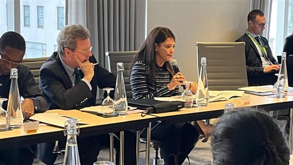 وزيرة التخطيط