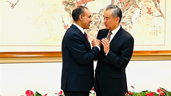 وزير الخارجة المصري