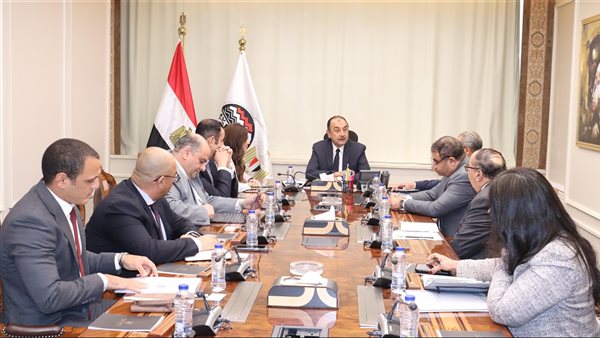 وزير قطاع الأعمال