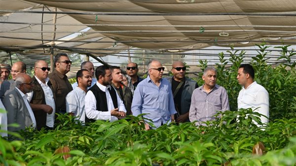 خلال الجولة