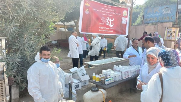 خلال الفاعليات 