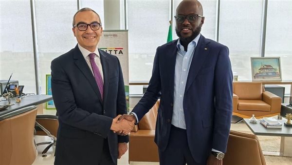 السفير المصري في