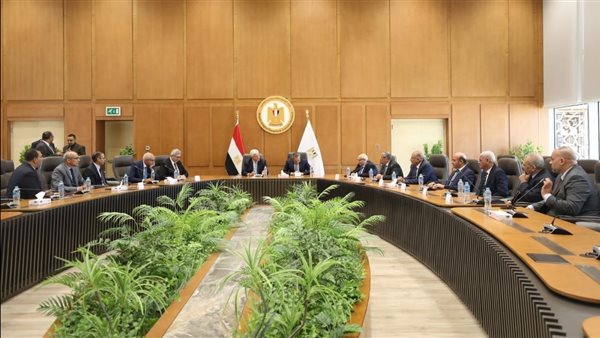 وزير التعليم العالى