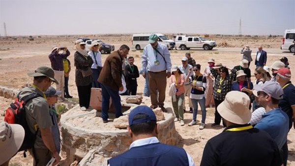 الأنشطة الميدانية