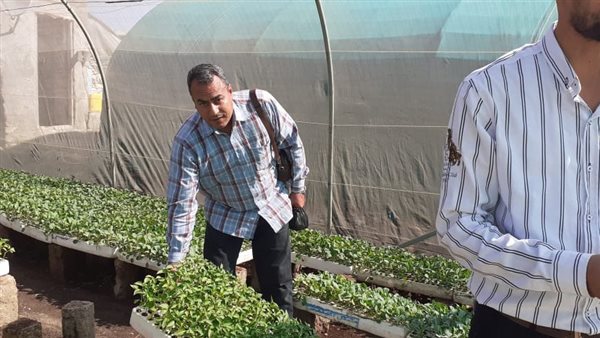 أنشطة المركزية للبساتين