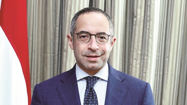 السفير المصري بالدوحة