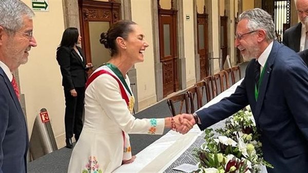 السفير المصري 