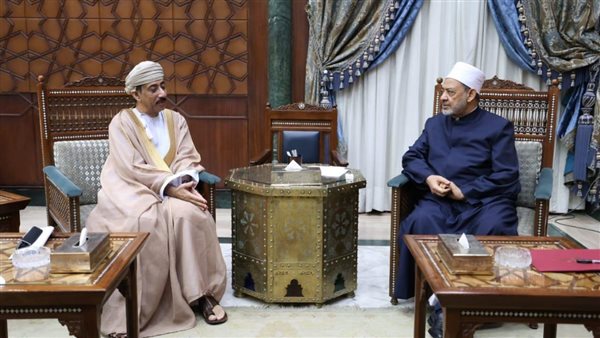 شيخ الأزهر خلال اللقاء