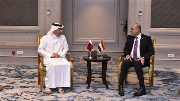 لقاء وزير العمل المصري