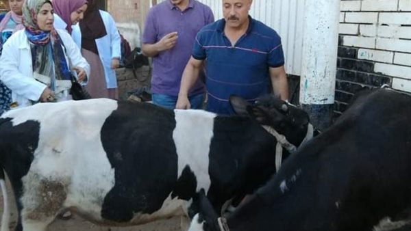 قوافل بيطريه