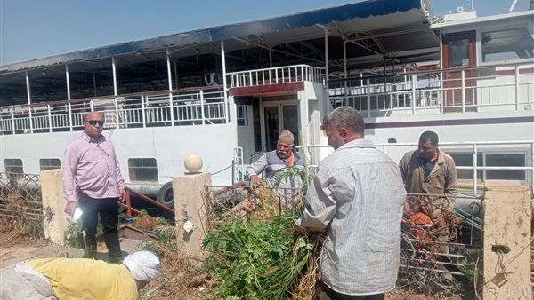 عملية التطوير