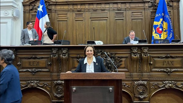 النائبة مها عبدالناصر