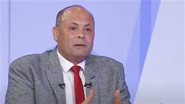 أحمد المنوفي