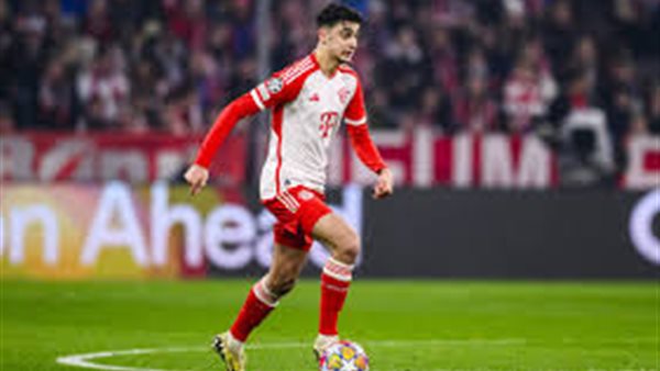 ألكسندر بافلوفيتش