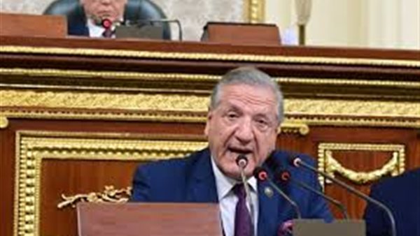  رئيس لجنة الخطة