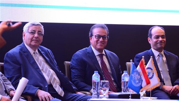 نائب رئيس مجلس الوزراء