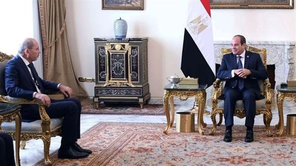 لقاء الرئيس السيسي