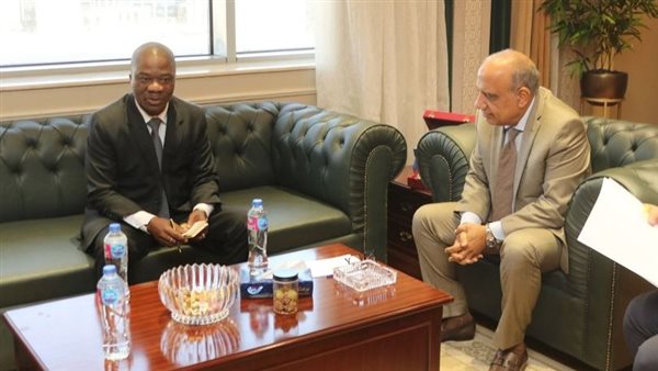 وزير الكهرباء