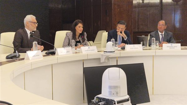 وزيرة التخطيط 