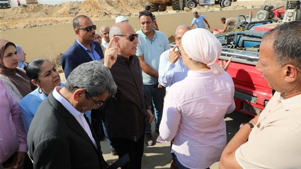 محافظ القاهرة 