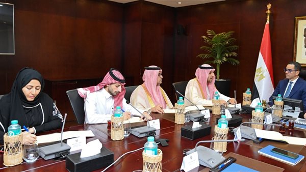 وزير الاستثمار